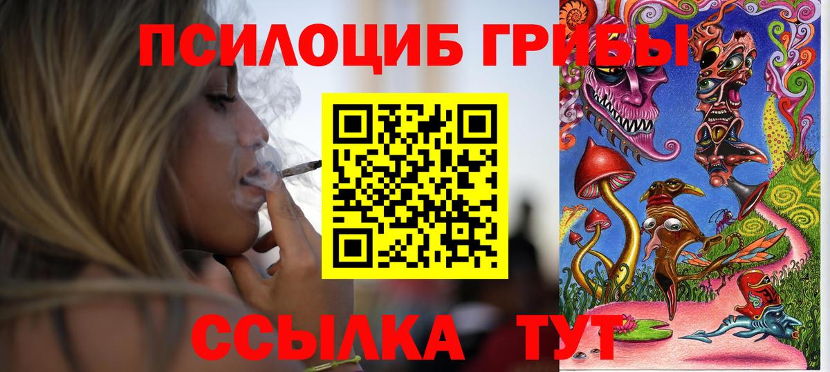 где продают   Псилоцибиновые грибы Psilocybine cubensis  Вход с VPN  Канаш 